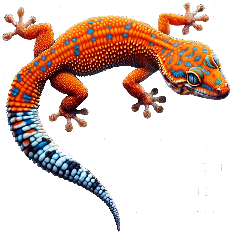 Gecko_On_Wall_TransparentBack2